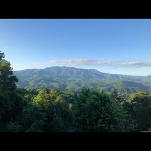 Meet your Posher, Teresa